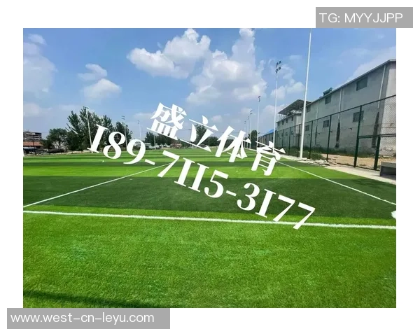 广西人造草足球场建设助力青少年体育发展与健康成长